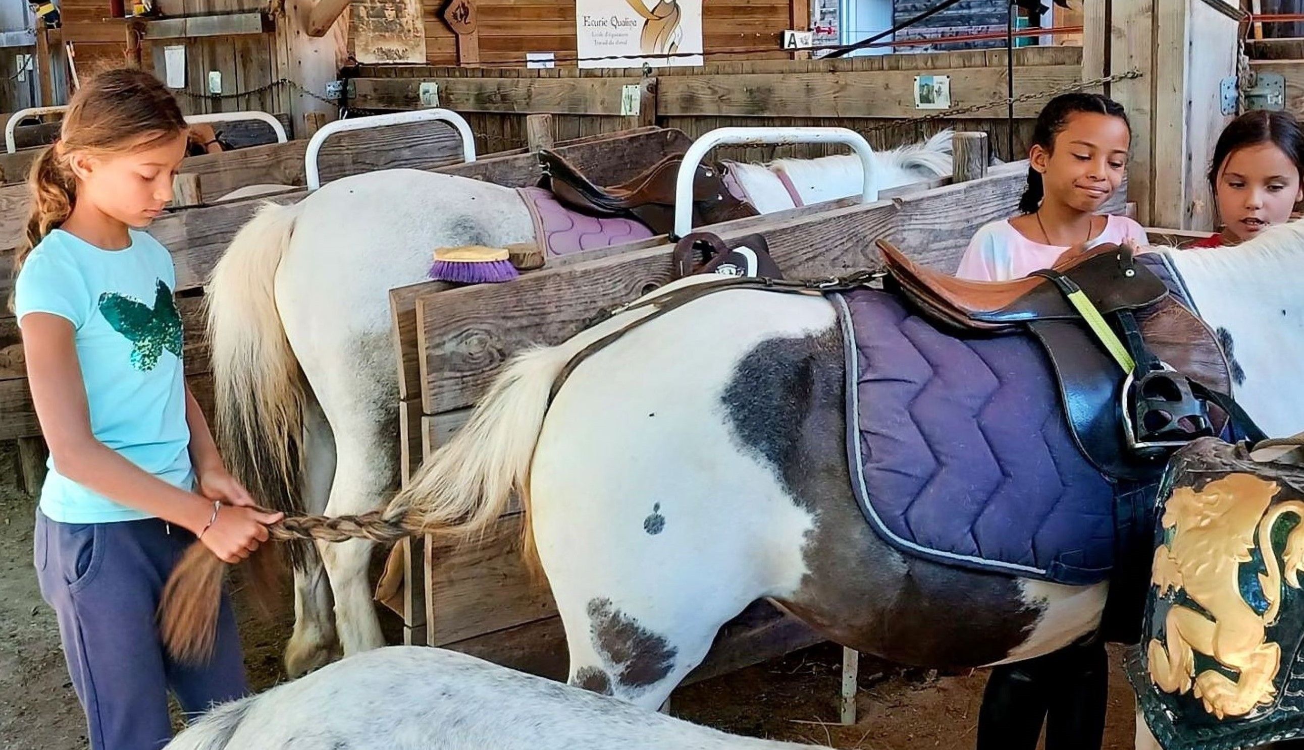 Classe poney - classe équitation 